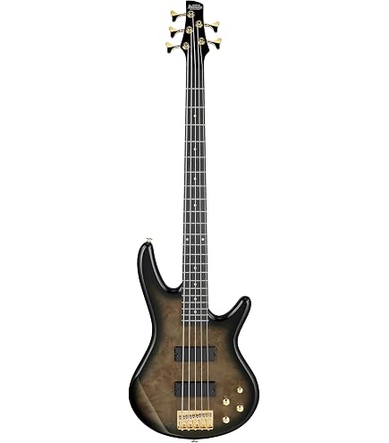 Ibanez SR405E SR Standard 5-String - Dragon Eye Burst : Amazon.ca