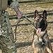 yisibo Tactical Bungee Dog Leash with Two Safty Handle for Small Medium Dogs (Camouflage)