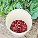 2lb Green Unroasted Coffee Brazil Acaia - From our family farm