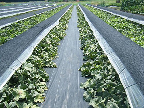 Synturfmats Weed Control Fabric - Heavy Duty Weed Barrier Landscape Fabric Membrane Ground Cover,Outdoor Resistant (6.5'x328')