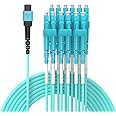 Jeirdus 20M MPO/MTP to 12 x LC (6 Duplex) 12 strands Breakout Cable,QSFP 40GBase-SR4, OM4 Fanout Fiber Optic Cable - Aqua, 20 meters/65ft