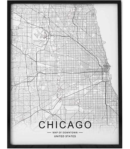Amazon.com: Map Chicago 1872 NThe City Of Chicago As It Was Before