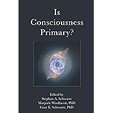 Is Consciousness Primary? (Postmaterialist Sciences Series)