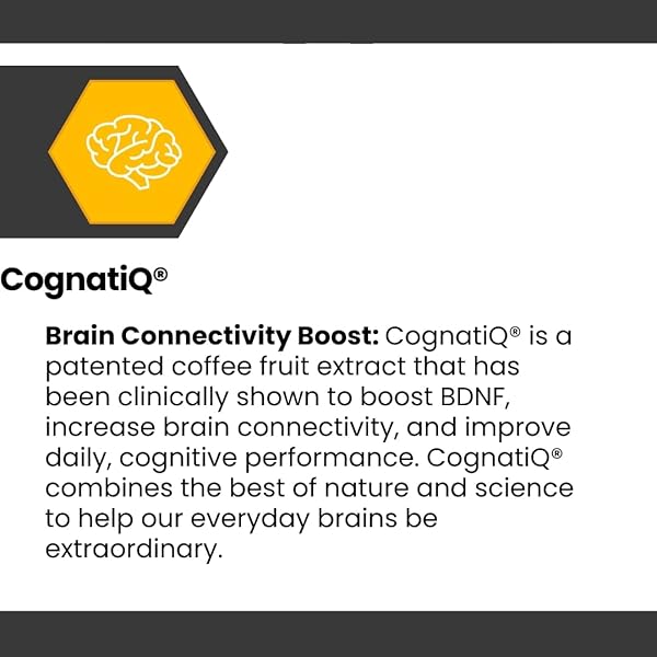 COGNISYNC NOOTROPIC BRAIN HEALTH SUPPLEMENT 60CT, 12 POWERFUL INGREDIENTS, LION’S MANE, ALPHA-GPC, COGNITIVE ENHANCEMENT, BRAIN FOG SUPPORT, MEMORY SUPPORT, SMART DRUG ALTERNATIVE