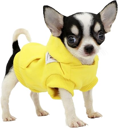 chihuahua clothes amazon