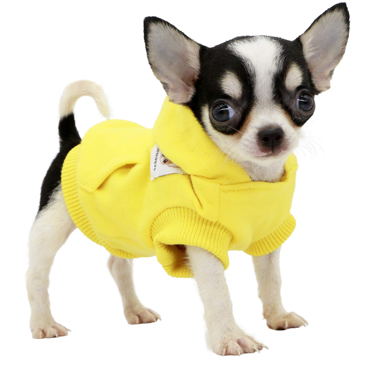 LOPHIPETS Dog Cotton Hoodies Sweatshirts for Small Dogs Chihuahua Puppy Clothes Cold Weather Coat-Yellow/XXS