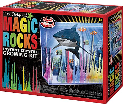 Toysmith Magic Rock Deluxe Box (Assorted Styles)