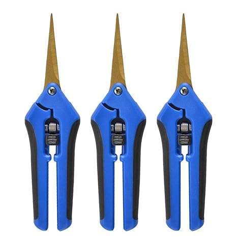 Exclusive Shoes Super Specials Pre Order Precision Snips