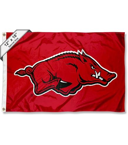 University Of Arkansas Razorbacks Flag - 3x5 Feet, 100% Polyester, Desert Cactus Officially Licensed (Style 7) - View #9