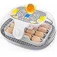 16 Egg Incubator for Hatching, Humidity and Hatch Day Display, Automatic Egg Turner, Candling Light, Movable Dividers, for Quail, Duck, and Goose Poultry Incubator
