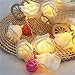 Avanti 20-Light LED Battery-Operated String Light Rose Flower Indoor Outdoor All Occasion Party Decor (Warm White)