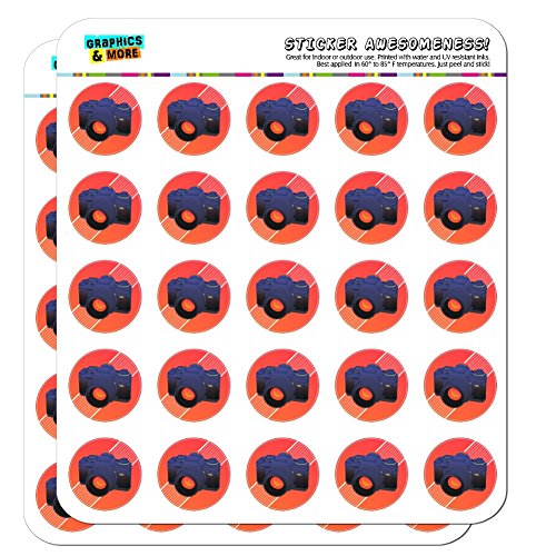 Camera Photography Photographer 1