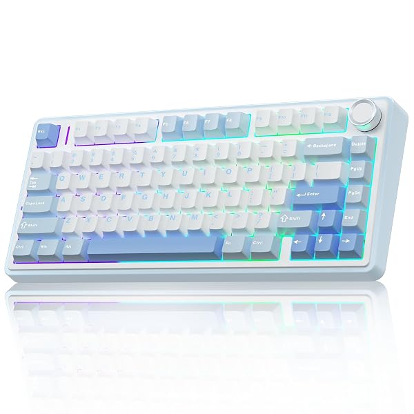 AULA F75 75% WIRELESS MECHANICAL KEYBOARD, HOT SWAPPABLE CREAMY KEYBOARD, PRE-LUBED GREYWOOD SWITCHES RGB BACKLIT GAMING KEYBOARDS, 2.4GHZ/TYPE-C/BT5.0(SALT WHITE BLUE)