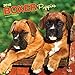 Boxer Puppies 2018 Calendar
