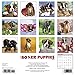 Just Boxer Puppies 2018 Calendar