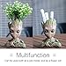 50 Pieces lugongjiaju Groot Action Love Figures Guardians of The Galaxy Flowerpot Baby Fashion Cute Model Toy Pen Pot Best Gifts 5.51 inch