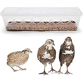Button Quail Transparent Feeder Flip Top Seed Food Container (8 Holes)