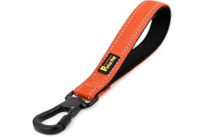 PLUTUS PET 10” Short Dog Leash, Reflective Nylon Padded Handle, Strong Traffic Leash with Carabiner Clip, Perfect for Large or Medium Dogs（10”，Orange