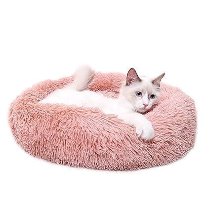 amazon marshmallow cat bed