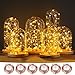 LED String Lights 6ft with 20 LEDs, OG-EVKIN 6 Packs Waterproof Copper Wire LED Strip Lights, Battery Powered by 2x CR2032(Included), For Christmas Festival Party Decorations(Warm White)