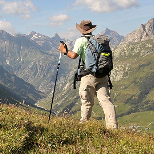 femor Trekking Poles, Trail Poles, Quick Stick, Lightweight Carbon Fiber Aluminum Cork Grip for Hiking, Climbing, Backpacking with 4 Terrain Accessories, Men and Women.