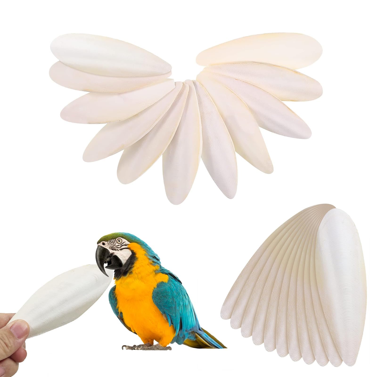 KBCYRT 22pcs Cuttlefish for Birds, 5-7cm Cuttlefish Bone, Cuttle Fish, Bird Cuttlebone Chew Toy, Parrots Chew Toys, for Parrots Cage Birds Reptiles Tortoises Snails