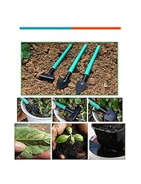 Verkarma Juego de herramientas de jardín, 10 piezas, kit de herramientas de jardín para mujeres y niños, Trasplante de flecha, podómetro, horquilla de siembra y tres plantas vegetales con estuche de transporte