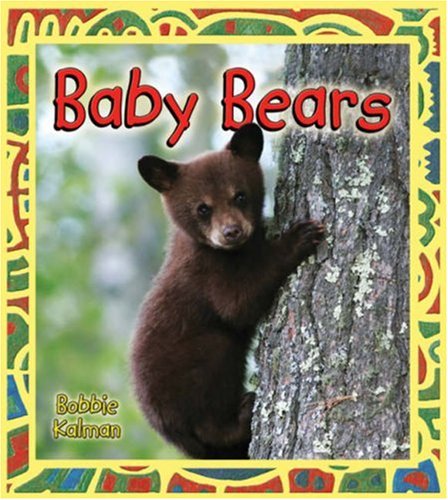 baby bear book