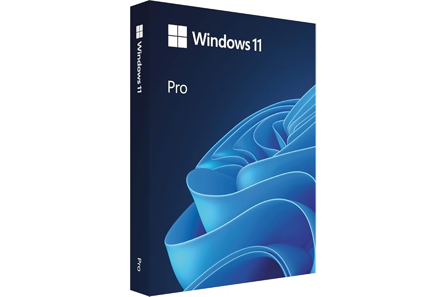 Microsoft Windows 11 Pro (USB)