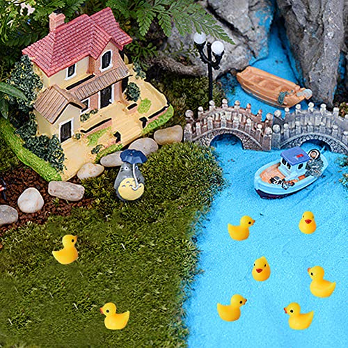 220-Piece Mini Resin Ducks – Tiny Decorative Ducks For Aquariums, Fairy Gardens, Prank Hide & Seek, DIY Crafts