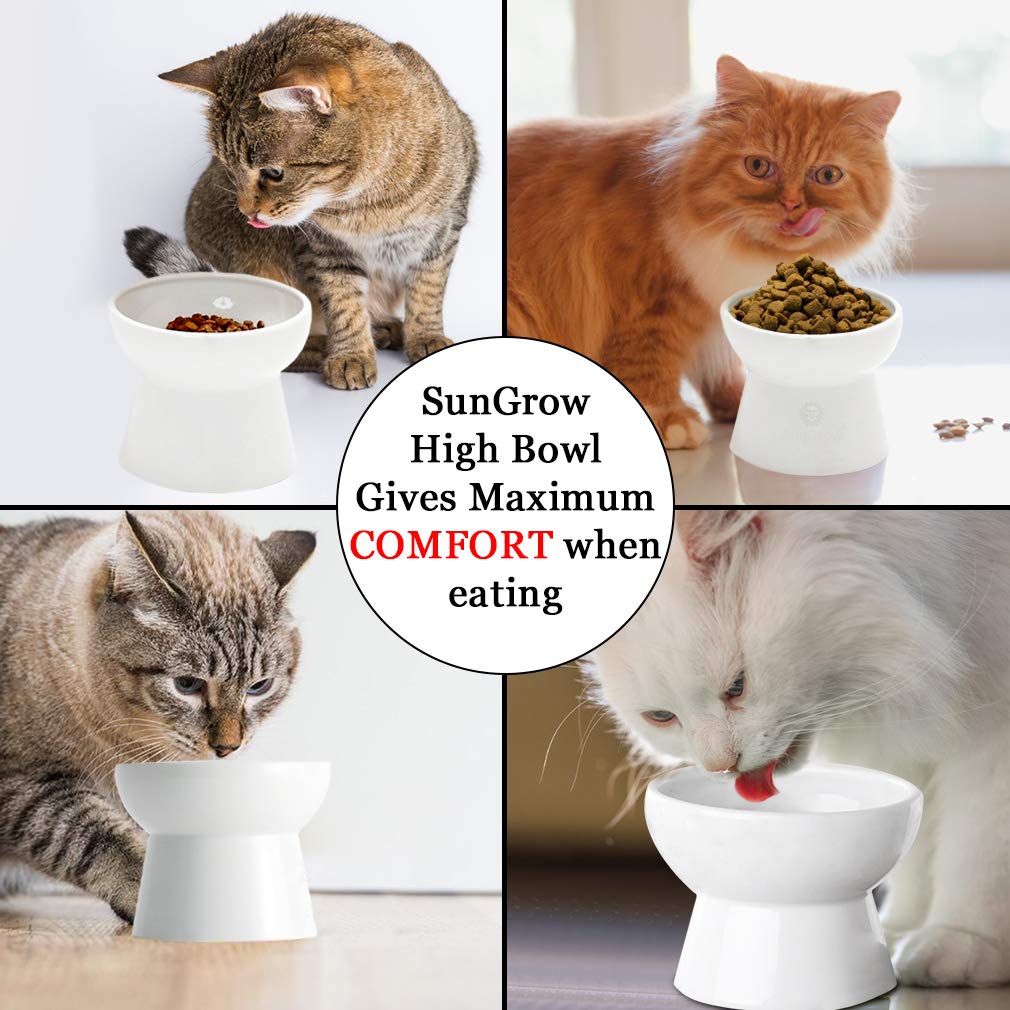 Cat bowl with stand --- Suitable eating height for pets – Easy cleaning for you – Eco-friendly, raised food bowl – Stress-free meal time for your cats - Stoneware feeding station