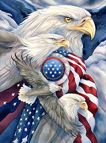 USA 1000 - American Eagles Puzzle By Jody Bergsma