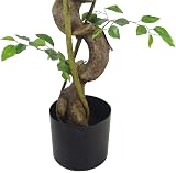 Leaf Realistic Ficus Tree Twisted Copper 120 cm Indoor Plant view 4
