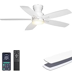 Ohniyou Ceiling Fans with Lights, 42'' Low Profile