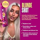 Give Me Cosmetics Purple Shampoo Toning No Yellow Blonde Hair Coconut Argan Oil view 3