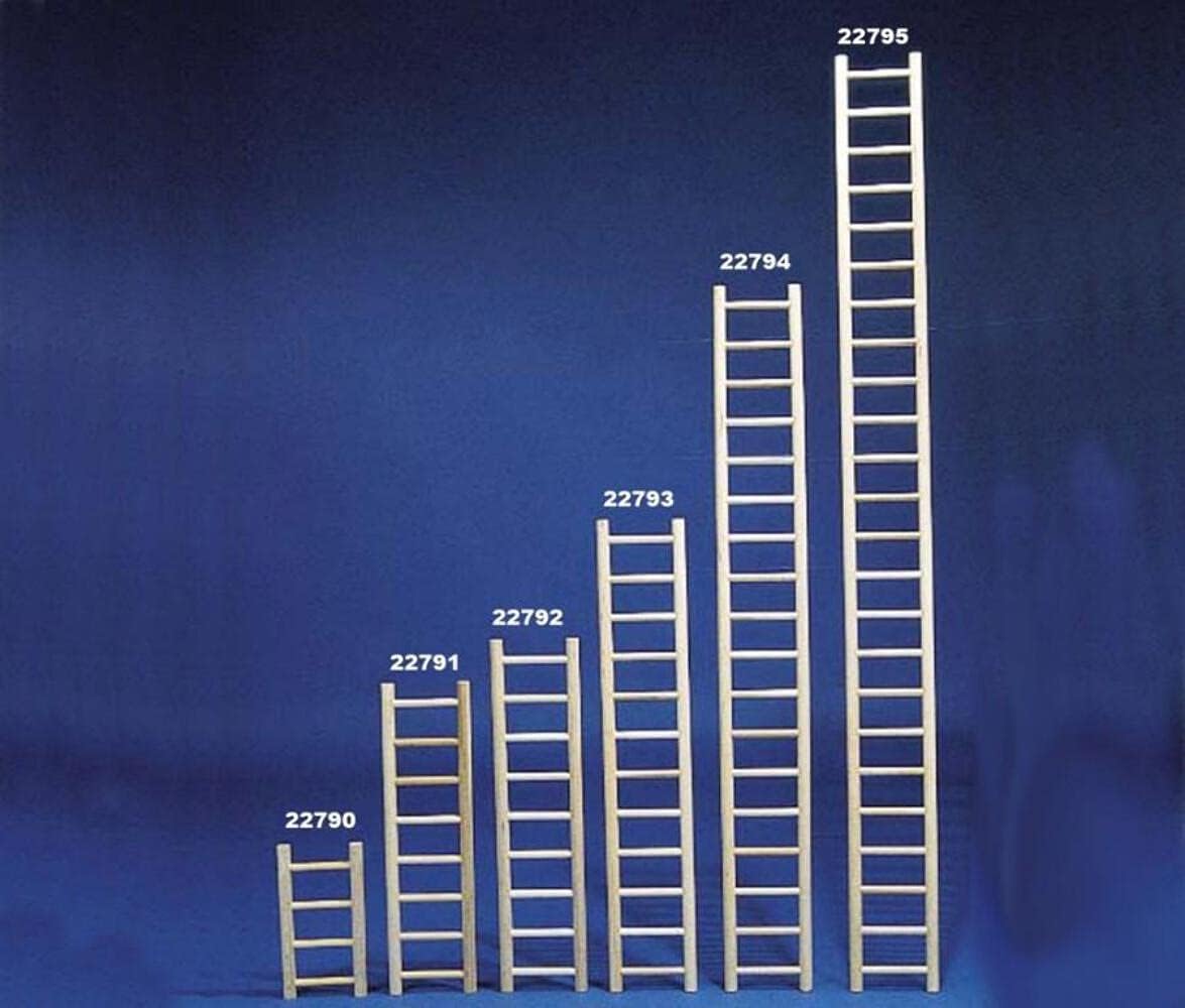 North American Pet BBO22793 Bob Parrot Ladder, 24-Inch : Bird Ladders : Pet Supplies