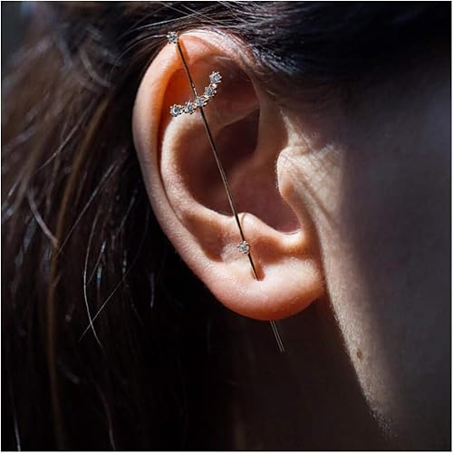 Amazon レディース 人気ピアス 軟骨 1個 イヤリング フックイヤリング ジュエリー付き耳針 ゴールド シルバーシンプル な低刺激性レディトラックピアス 輝く金属の古典的なイヤリング シングルイヤリング 耳ラップクローラー ボディピアス 通販