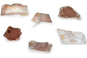 EISCO 6PK Raw Muscovite Mica, Mineral Specimen - Approx. 1"- Geologist Selected & Hand Processed - Great for Science Classrooms