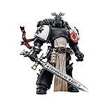 JOYTOY 1/18 Warhammer 40,000 Action Figure Templars
