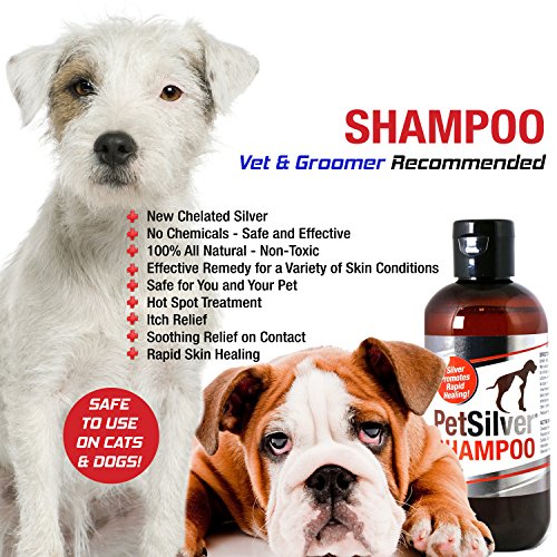 Pet Silver Shampoo with Chelated Silver for Dogs and Cats, 8 oz