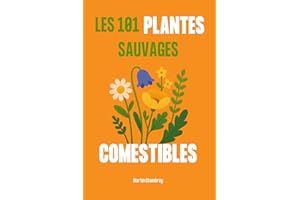Les 101 plantes sauvages comestibles (French Edition)