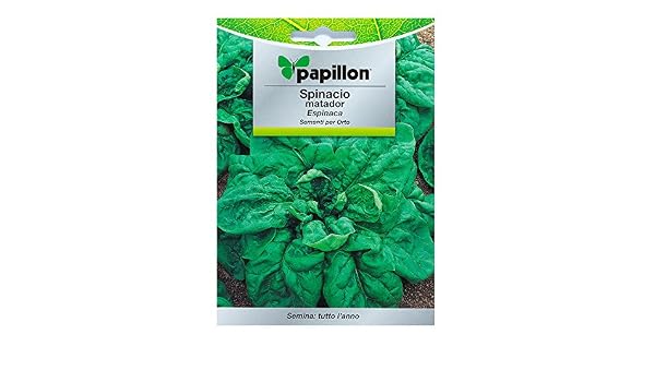 Semillas Espinaca Temprana (8 Gramos): Amazon.es: Jardín