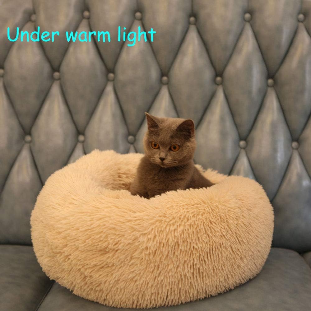 BODISEINT Modern Soft Plush Round Pet Bed for Cats or Small Dogs, Mini Medium Sized Dog Cat Bed Self Warming Autumn Winter Indoor Snooze Sleeping Cozy Kitty Teddy Kennel (M(23.6”Dx7.9 H), Champagne) : Pet Supplies