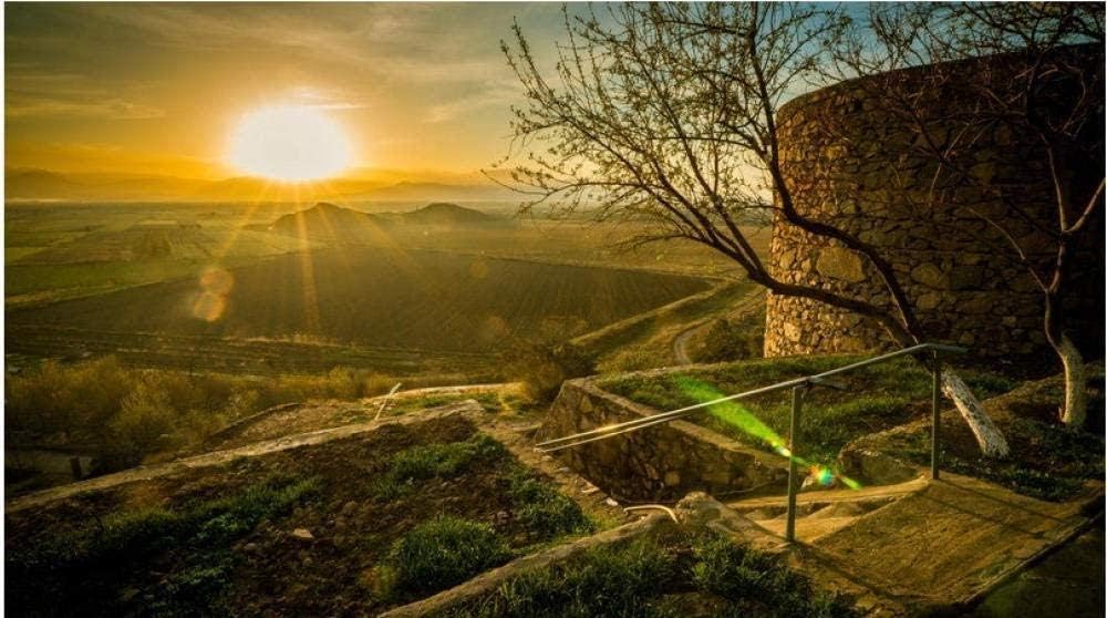 XINNeck 1000 Pieces Wooden Jigsaw Puzzle,Puzzle Sunrise in Ararat Armenia Gift Educational toy for children and adults