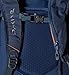 Dakine Heli Pro DLX Backpack
