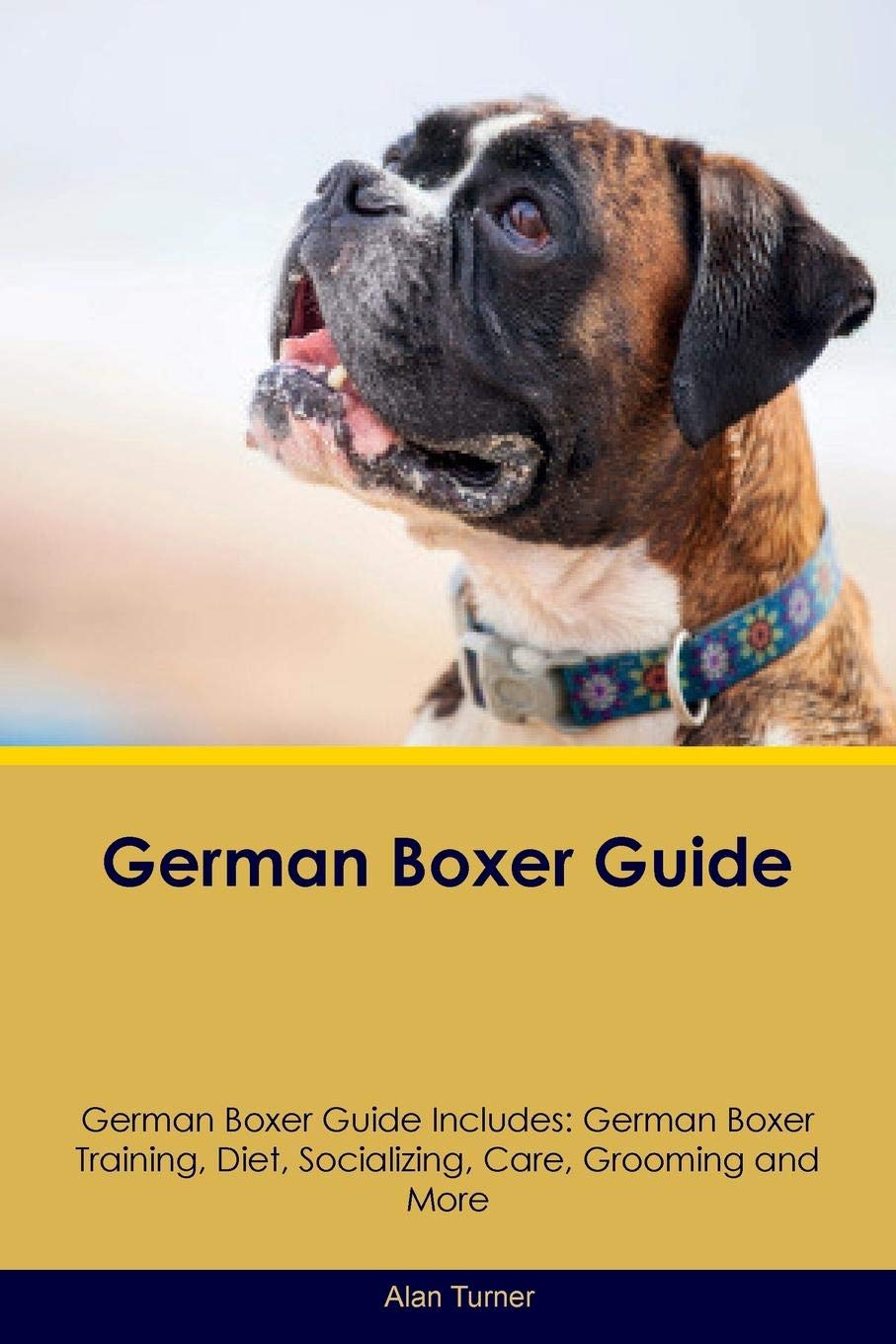 boxer guide