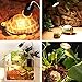 Wuhostam 4 Pack 75W Full Spectrum Sun Lamp Sunbathe Reptile Heating Lamp for Lizard Turtle Chameleon