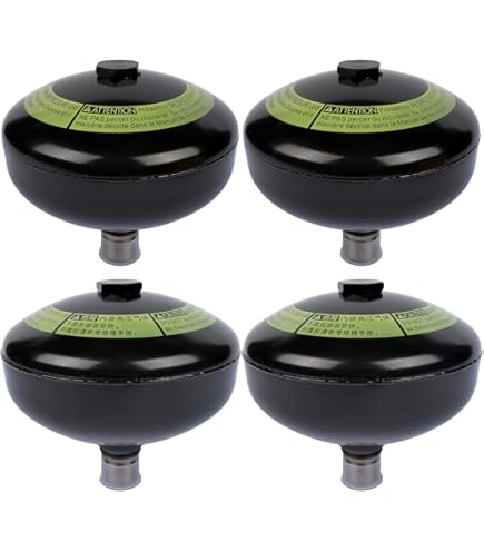 Amazon.com: Flynsu Accumulator Replacement 49141 60020 49151 60020