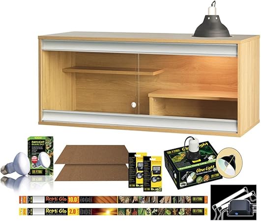 bearded dragon starter kit for sale