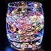 Twinkle Star 33ft 100LED Copper Wire String Lights (100 LED Copper Wire String Lights, Multi-Color)